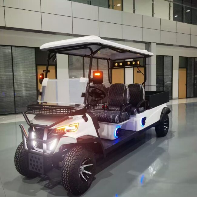 electric buggy for facility transport and operations in Singapore
