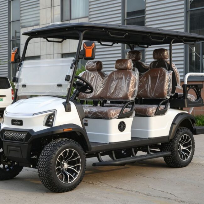 electric buggy Singapore passenger transport 2 seater 4 seater 6 seater 8 seater